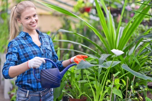 Gardener working in a Hampstead garden, installing decking