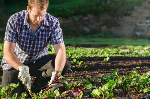 Team member inspecting garden with clipboard and insurance documents visible