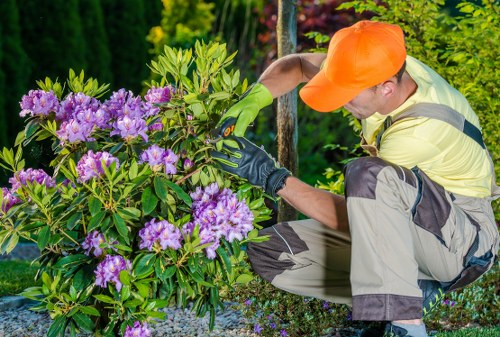 Garden team arriving to inspect a residential garden
