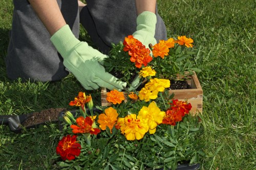 Staff member inspecting a garden; symbolising commitment to ethical practices