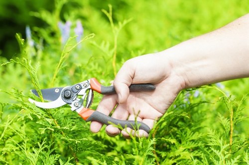 Training session showing staff using safety equipment in garden work