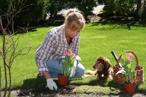 Gardeners working in a Hampstead garden illustrating services provided