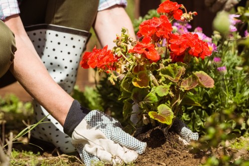 Pruning and trimming services during garden clearance