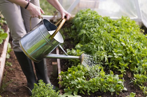 Workers wearing PPE trimming hedges in a Hampstead garden