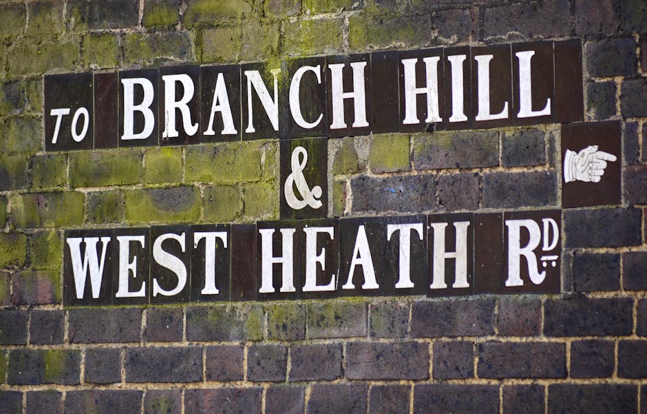 Close-up of a moss-covered brick wall displaying a street sign with dark tiles and white lettering that reads 'to BRANCH HILL & WEST HEATH RD'. The sign appears weathered, with some signs of age and m