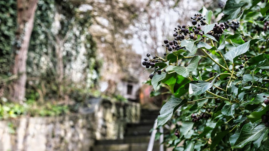 Close-up of a moss-covered brick wall displaying a street sign with dark tiles and white lettering that reads 'to BRANCH HILL & WEST HEATH RD'. The sign appears weathered, with some signs of age and m